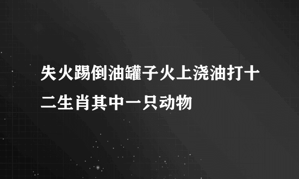 失火踢倒油罐子火上浇油打十二生肖其中一只动物