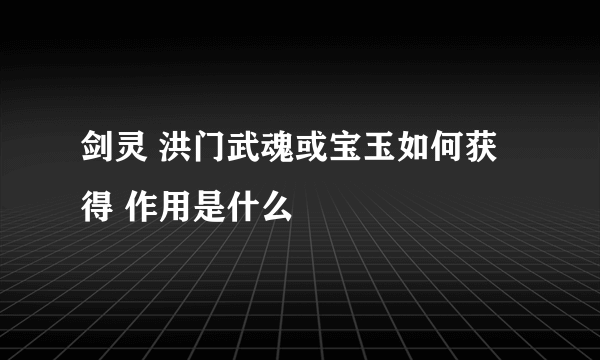 剑灵 洪门武魂或宝玉如何获得 作用是什么