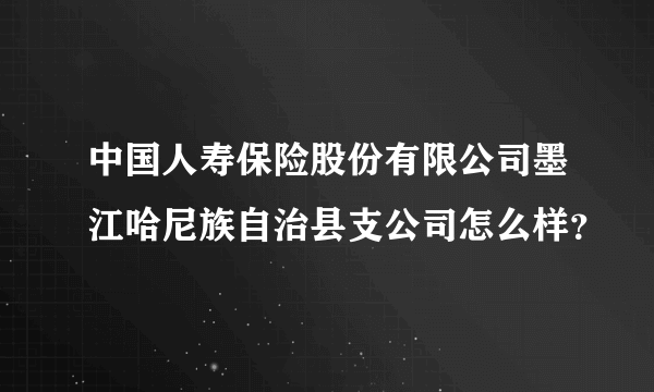 中国人寿保险股份有限公司墨江哈尼族自治县支公司怎么样？