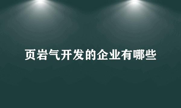 页岩气开发的企业有哪些