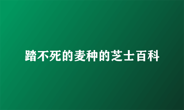 踏不死的麦种的芝士百科