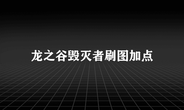 龙之谷毁灭者刷图加点