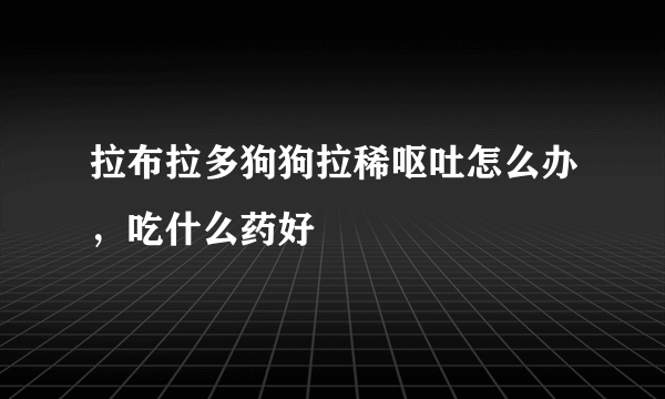 拉布拉多狗狗拉稀呕吐怎么办，吃什么药好