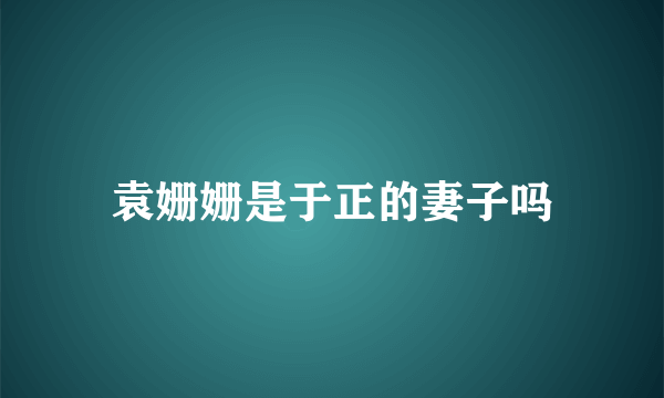 袁姗姗是于正的妻子吗