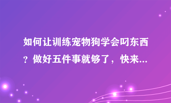 如何让训练宠物狗学会叼东西？做好五件事就够了，快来看看吧！