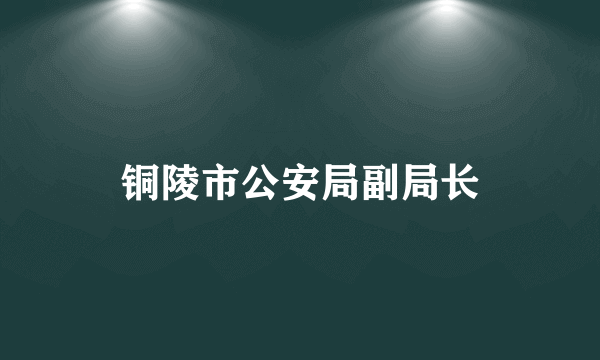 铜陵市公安局副局长