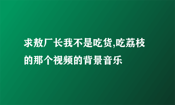 求敖厂长我不是吃货,吃荔枝的那个视频的背景音乐