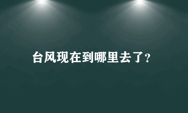 台风现在到哪里去了？