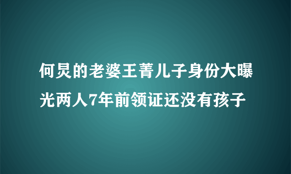 何炅的老婆王菁儿子身份大曝光两人7年前领证还没有孩子