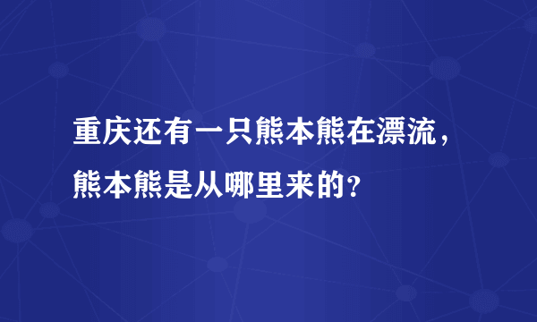 重庆还有一只熊本熊在漂流，熊本熊是从哪里来的？