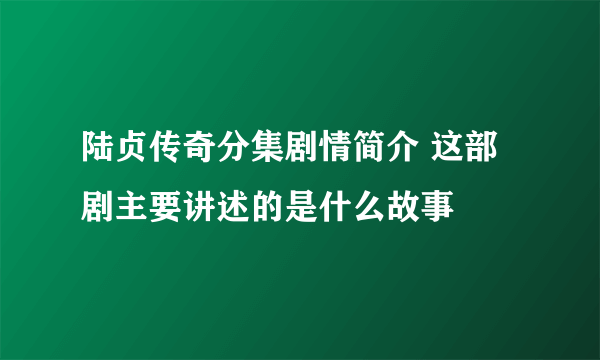 陆贞传奇分集剧情简介 这部剧主要讲述的是什么故事