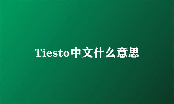 Tiesto中文什么意思