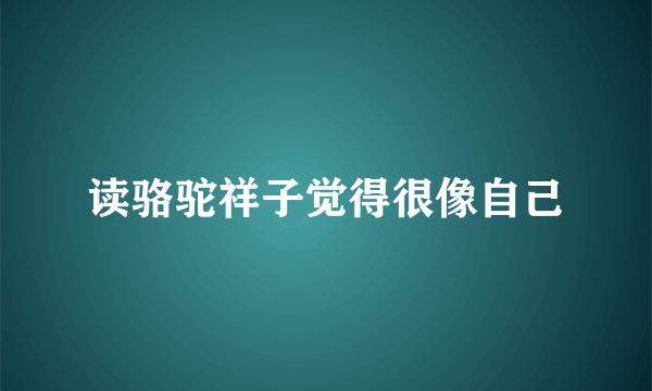 读骆驼祥子觉得很像自己