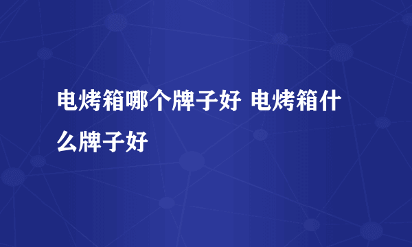 电烤箱哪个牌子好 电烤箱什么牌子好