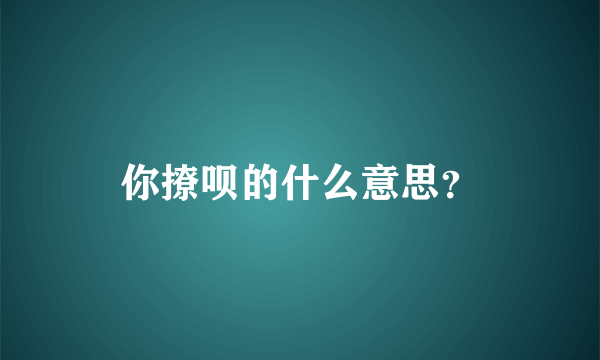 你撩呗的什么意思？