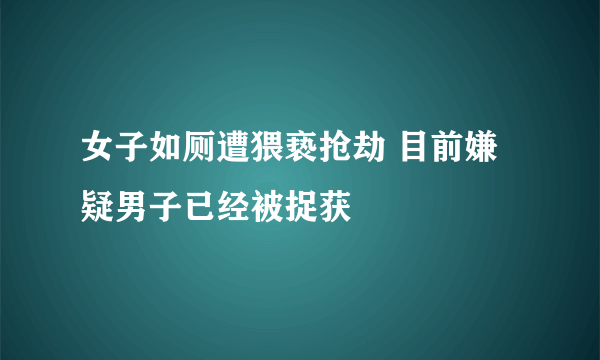 女子如厕遭猥亵抢劫 目前嫌疑男子已经被捉获