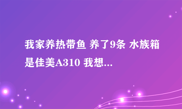 我家养热带鱼 养了9条 水族箱是佳美A310 我想问一下多久换一次水 要怎么换 还有佳美A310有氧气的吗