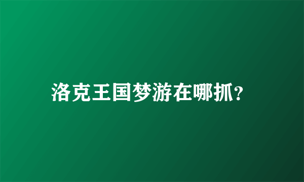 洛克王国梦游在哪抓？