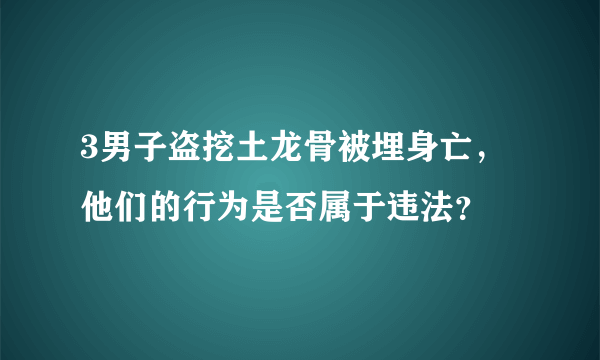 3男子盗挖土龙骨被埋身亡，他们的行为是否属于违法？