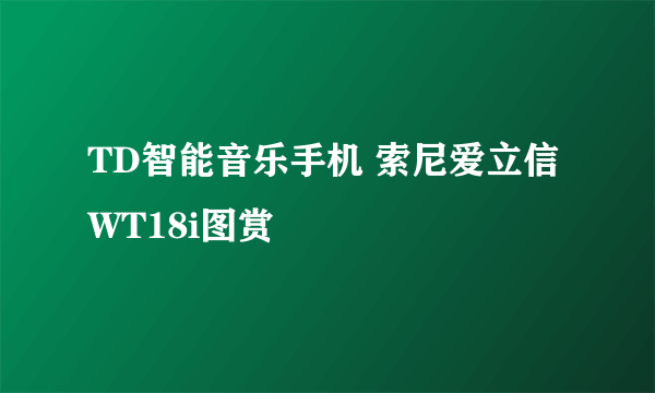 TD智能音乐手机 索尼爱立信WT18i图赏