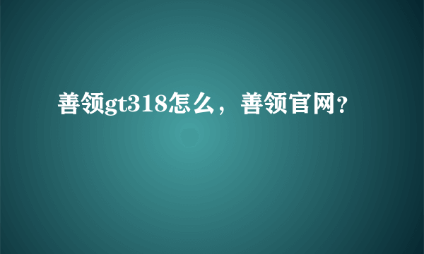 善领gt318怎么，善领官网？