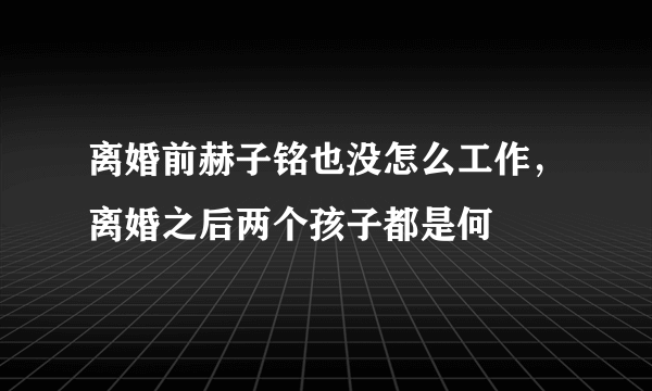 离婚前赫子铭也没怎么工作，离婚之后两个孩子都是何