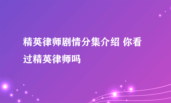 精英律师剧情分集介绍 你看过精英律师吗