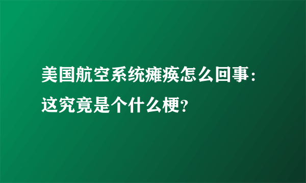 美国航空系统瘫痪怎么回事：这究竟是个什么梗？