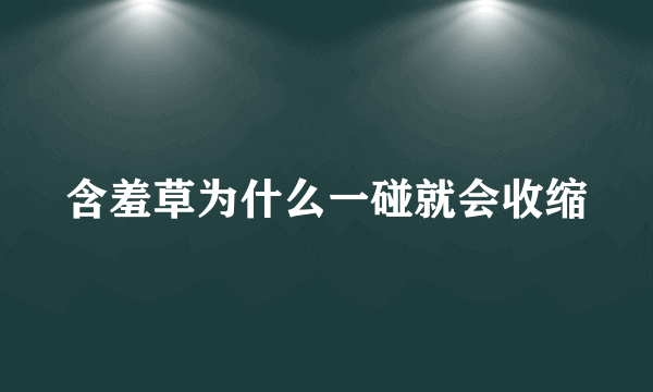 含羞草为什么一碰就会收缩