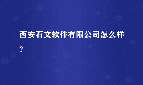 西安石文软件有限公司怎么样？