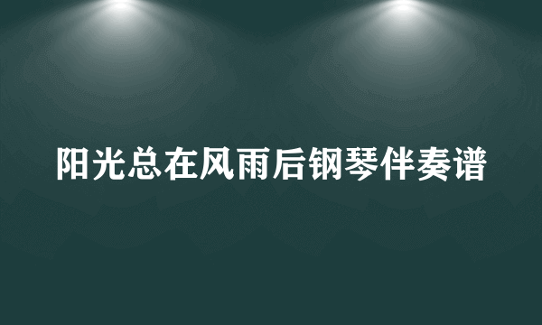 阳光总在风雨后钢琴伴奏谱