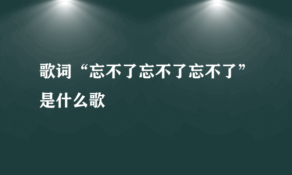 歌词“忘不了忘不了忘不了”是什么歌