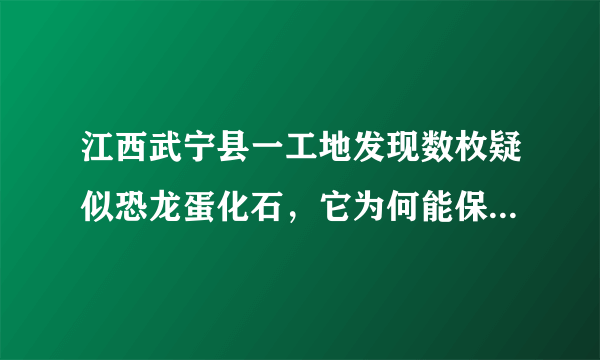 江西武宁县一工地发现数枚疑似恐龙蛋化石，它为何能保存这么久？