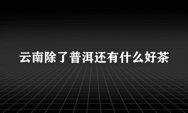 云南除了普洱还有什么好茶