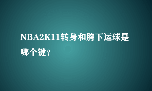 NBA2K11转身和胯下运球是哪个键？