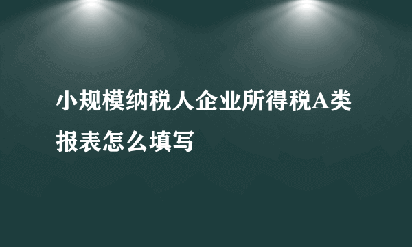 小规模纳税人企业所得税A类报表怎么填写