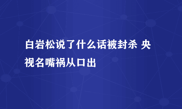 白岩松说了什么话被封杀 央视名嘴祸从口出