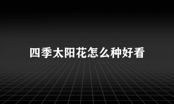 四季太阳花怎么种好看