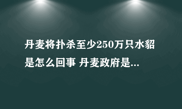 丹麦将扑杀至少250万只水貂是怎么回事 丹麦政府是这么解释的