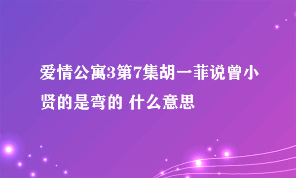 爱情公寓3第7集胡一菲说曾小贤的是弯的 什么意思