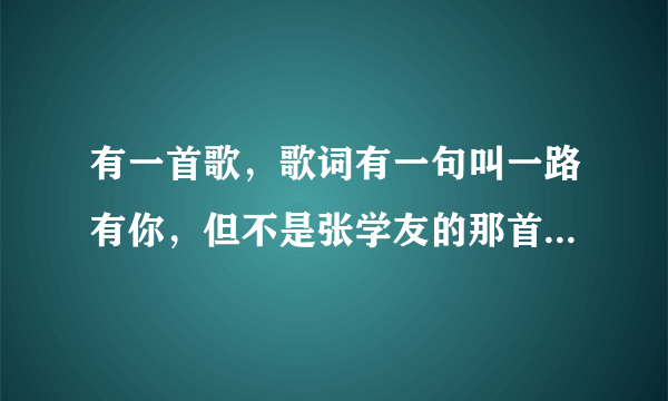 有一首歌，歌词有一句叫一路有你，但不是张学友的那首一路有你？