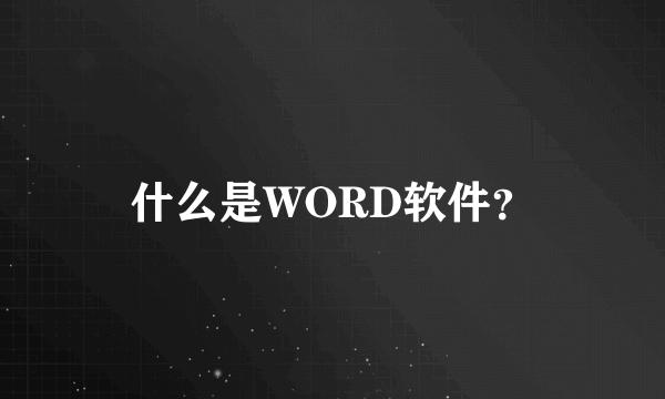 什么是WORD软件？