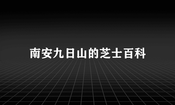 南安九日山的芝士百科