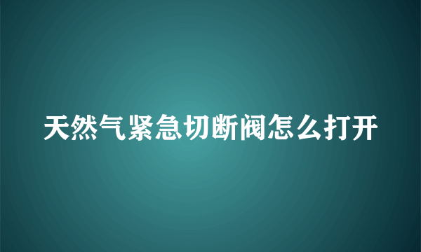 天然气紧急切断阀怎么打开