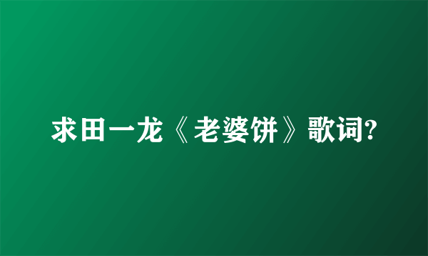 求田一龙《老婆饼》歌词?