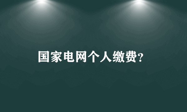 国家电网个人缴费？