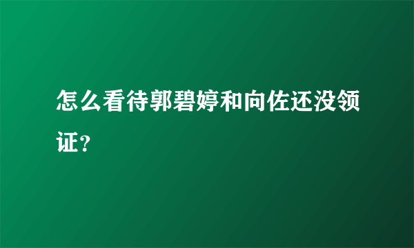 怎么看待郭碧婷和向佐还没领证？