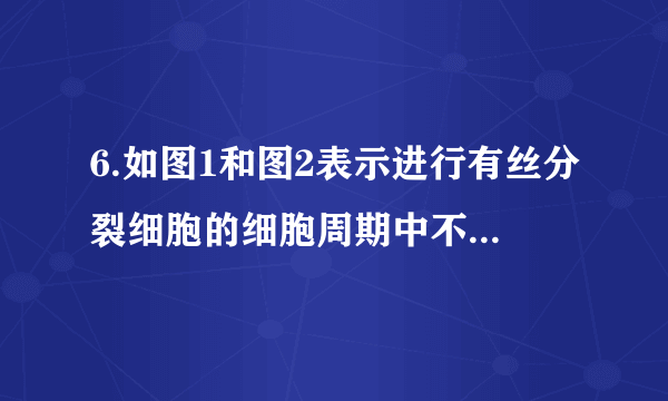 6.如图1和图2表示进行有丝分裂细胞的细胞周期中不同时期染色体和核DNA分子的数量关系，下列有关叙述不正确的是(  )A.观察染色体形态和数目的最佳时期处于图1的CD段B.图1中DE段的细胞染色体数目加倍，但核DNA分子的含量不变C.图2中a对应图1中的AB段，c对应图1中的EF段D.有丝分裂过程中不会出现图2中d所示的情况