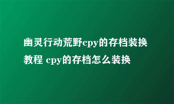 幽灵行动荒野cpy的存档装换教程 cpy的存档怎么装换