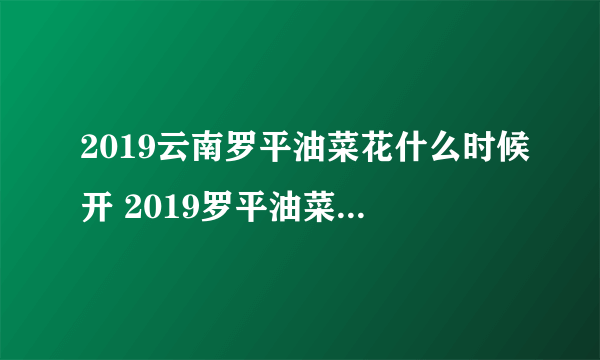 2019云南罗平油菜花什么时候开 2019罗平油菜花最佳时间